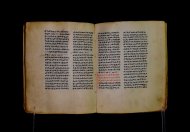 Parma, Palatina 3841