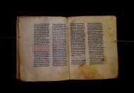 Parma, Palatina 3841