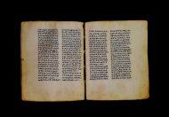 Parma, Palatina 3841