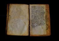 PR_Bibl_Palatina_3845