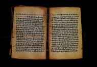 PR_Bibl_Palatina_3845