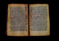 PR_Bibl_Palatina_3845