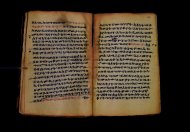 PR_Bibl_Palatina_3845