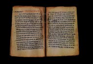 PR_Bibl_Palatina_3845