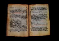 PR_Bibl_Palatina_3845