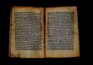 PR_Bibl_Palatina_3845