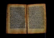 PR_Bibl_Palatina_3845