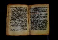 PR_Bibl_Palatina_3845