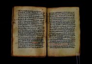 PR_Bibl_Palatina_3845