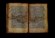 PR_Bibl_Palatina_3845