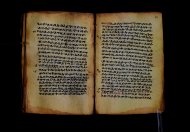 PR_Bibl_Palatina_3845