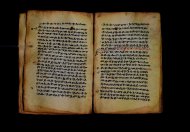 PR_Bibl_Palatina_3845