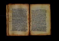 PR_Bibl_Palatina_3845