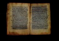 PR_Bibl_Palatina_3845