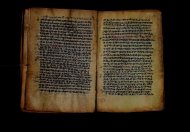 PR_Bibl_Palatina_3845