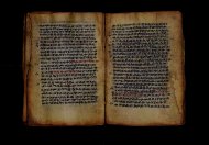 PR_Bibl_Palatina_3845