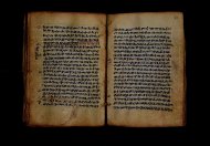PR_Bibl_Palatina_3845