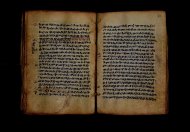 PR_Bibl_Palatina_3845