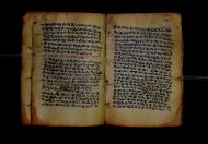 PR_Bibl_Palatina_3845