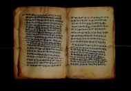 PR_Bibl_Palatina_3845