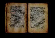 PR_Bibl_Palatina_3845