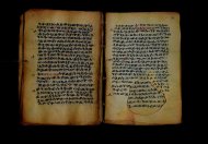 PR_Bibl_Palatina_3845