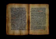 PR_Bibl_Palatina_3845