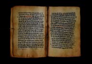 PR_Bibl_Palatina_3845