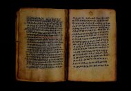 PR_Bibl_Palatina_3845