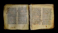 Parma, Palatina 3848