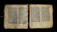 Parma, Palatina 3848