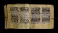 Parma, Palatina 3848