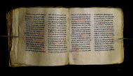 Parma, Palatina 3848