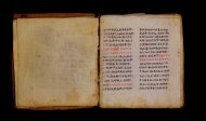 Parma, Palatina 3849