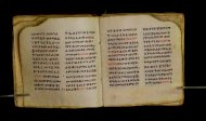 Parma, Palatina 3849