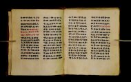Parma, Palatina 3850