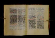 Parma, Palatina 3852