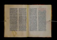 Parma, Palatina 3852