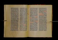 Parma, Palatina 3852