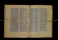 Parma, Palatina 3852