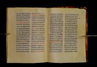 Parma, Palatina 3852