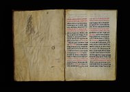 Parma, Palatina 3863