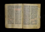 Parma, Palatina 3863