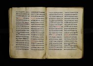 Parma, Palatina 3863