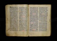 Parma, Palatina 3863