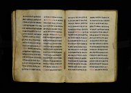 Parma, Palatina 3863