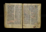 Parma, Palatina 3863