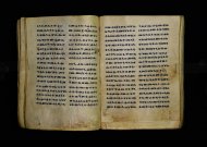 Parma, Palatina 3863