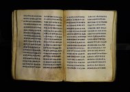 Parma, Palatina 3863