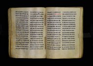 Parma, Palatina 3863